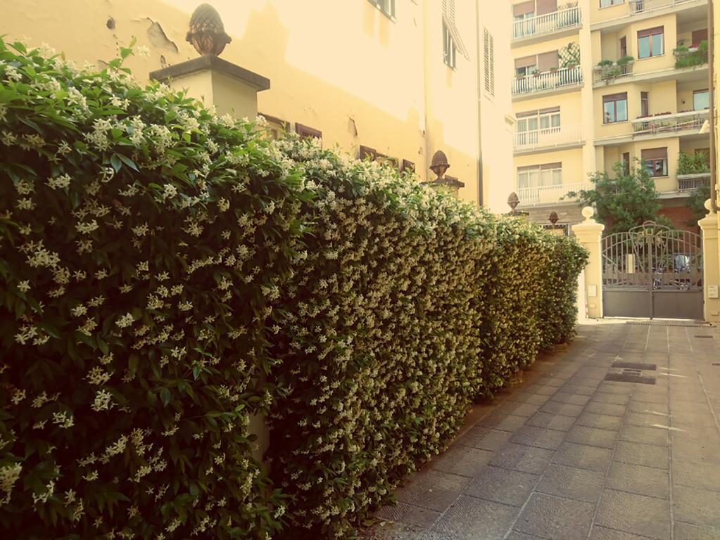פירנצה Hotel Della Robbia מראה חיצוני תמונה